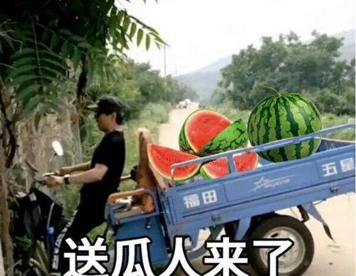 最近大瓜事件,揭秘明星隐私风波背后的真相 最近大瓜事件,揭秘明星隐私风波背后的真相